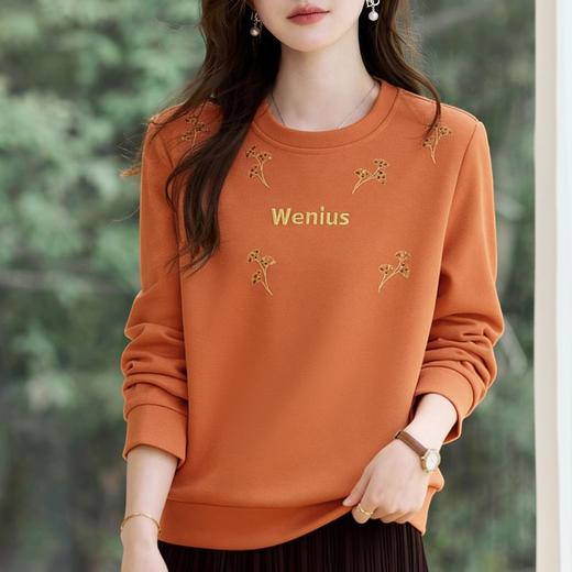 丁摩 圆领正肩女士卫衣新款春秋高端洋气宽松显瘦无帽上衣薄款6ZF-10037 商品图0