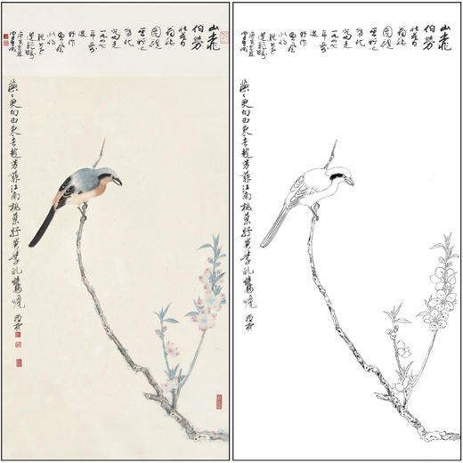 谢稚柳花鸟工笔画白描底稿《山桃伯劳》临摹勾线高清打印稿XZ59 商品图0