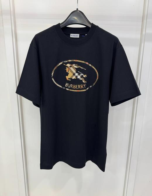 男款刺绣logo短袖T恤he007 商品图0