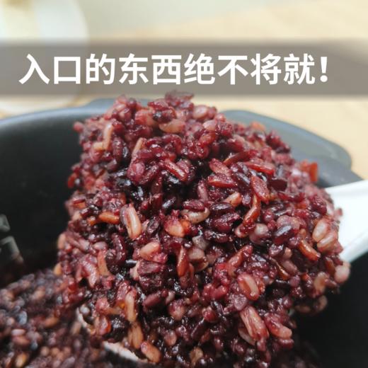 【新品下单送煎饼】【有机七色糙米】阿福视界有机七色糙米五谷杂粮饭粗粮米杂粮组合煮粥新米杂粮米 商品图4