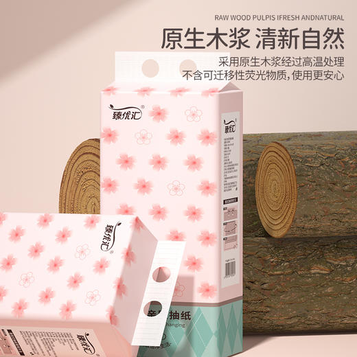 自营（泰利嘉）- 悬挂抽纸家用卫生纸6大提 商品图1