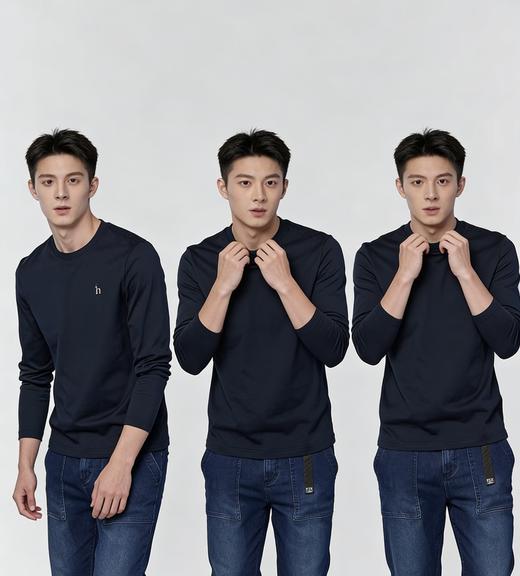 专柜同步H刺绣高支纯棉抗菌抗皱T恤 商品图5