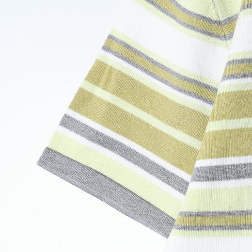 M198SDSA男装2026新款高贵轻奢复古文艺风舒适条纹polo翻领短袖T恤 商品图4