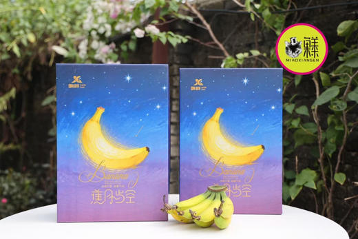 喵菓基地～三亚新品香蕉【佳丽蕉】3斤装 商品图5