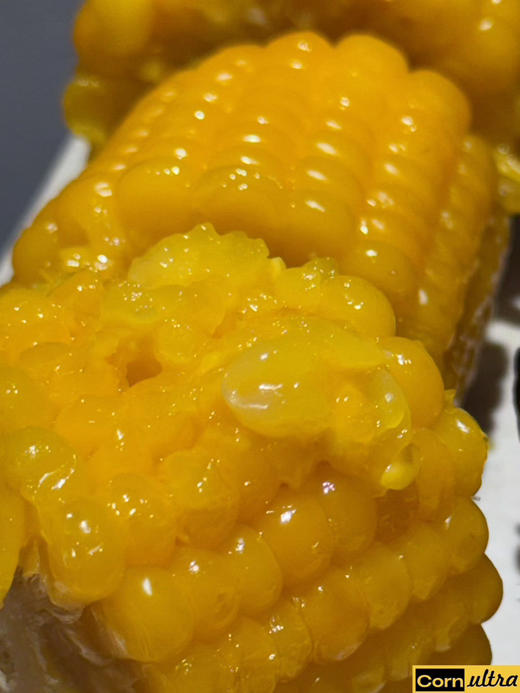 黑金糯玉米礼盒装8根 商品图0