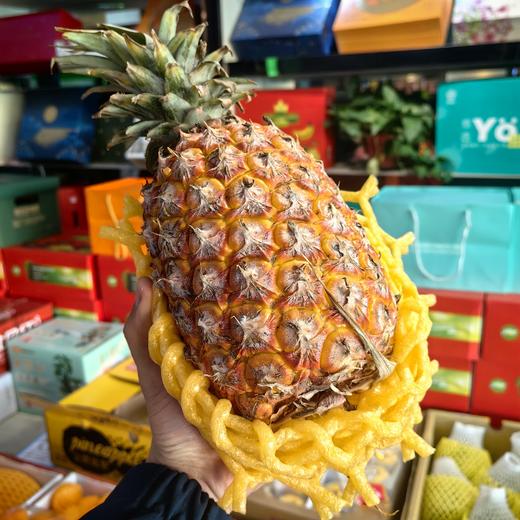 【悠选好货】特级正宗海南树熟凤梨*1.5kg 商品图2