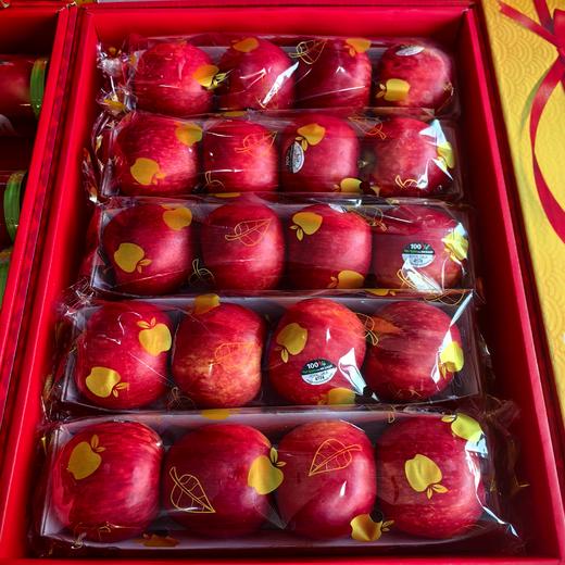 新西兰一级加力果 苹果4粒装  凑单更划算600g 商品图3