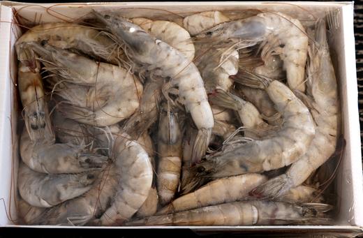 皇冠虾（30、40）1.65公斤 商品图0