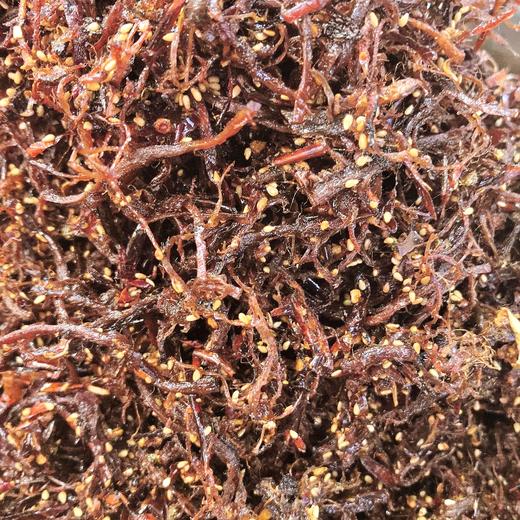 灯影牛肉丝 约150克 商品图1