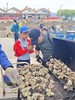 清明五一净滩蚵仔屿2日亲子游，认证公益时长为地球做件小事，深入牡蛎源头每人带走5斤，海洋生物研学/滩涂&沙滩趣玩，北纬30°的守护 商品缩略图1