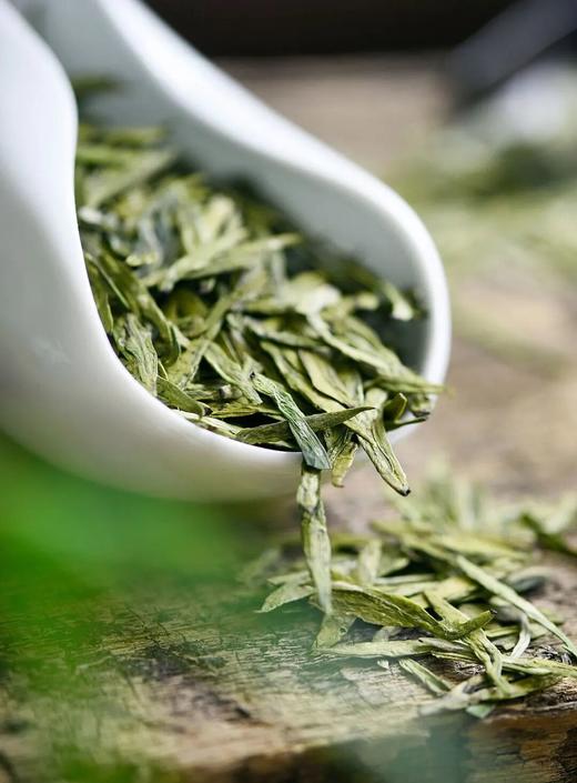 【买即赠价值199元的温变山水杯】2026正宗头采明杭龙井 | 明前头采春茶，50年以上老茶树43号，兰香风味馥郁悠长 商品图0