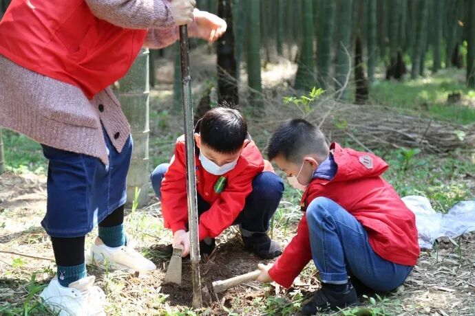 苏州同里挖笋踏青赏樱一日营，人广&世纪公园集合