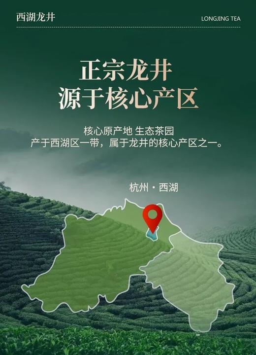【买即赠价值199元的温变山水杯】2026正宗头采明杭龙井 | 明前头采春茶，50年以上老茶树43号，兰香风味馥郁悠长 商品图1