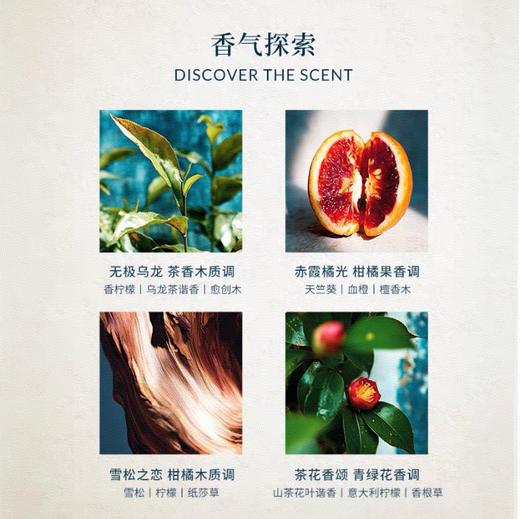 【炸炸妙妙屋专属】欧珑造型蜡烛礼盒mini 商品图4