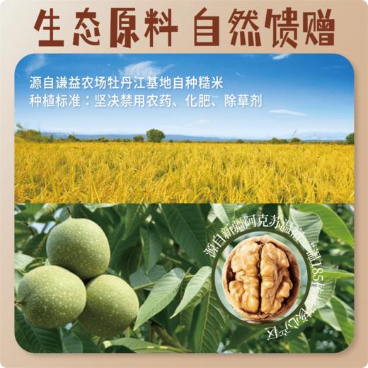 核桃糙米奶 净素配方植物奶 生态原料 谷物清甜 香醇丝滑 商品图3