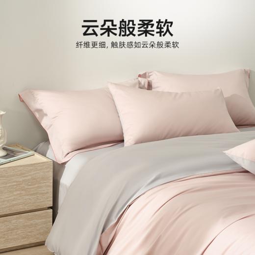 恐龙 绯云 全棉60S四件套 新品上市 商品图1