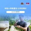 茗皇熬夜茶（湛江特色产品） 商品缩略图2