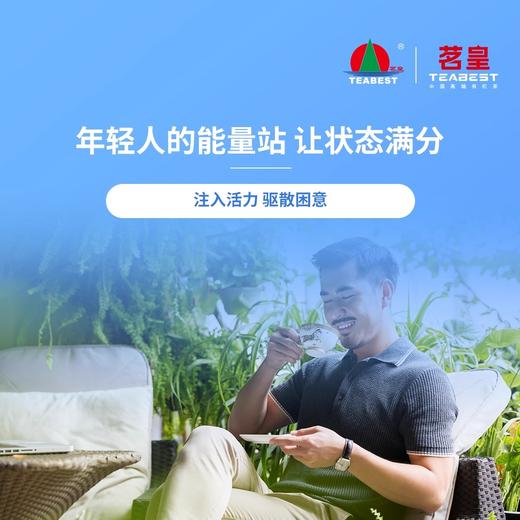 茗皇熬夜茶（湛江特色产品） 商品图2