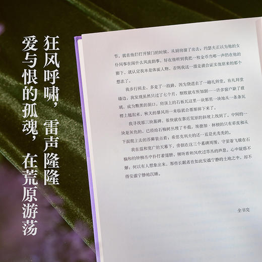 呼啸山庄 刷边版 《纽约时报》世界十大名著，毛姆、伍尔夫、加缪、莫言盛赞 商品图5