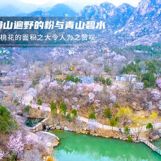 清明1天【北京后花园】漫山芬香北京后花园の燕平八景-神岭千峰-虎峪辉金9公里徒步赏山花 商品图0