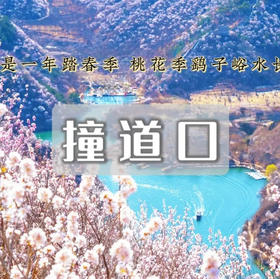 清明1天【鹞子峪桃花68元】春花·水·长城の鹞子峪-撞道口长城徒步10公里<初级>
