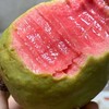 芭乐【低至29元】丨双拼芭乐 果香四溢 清脆可口 商品缩略图4