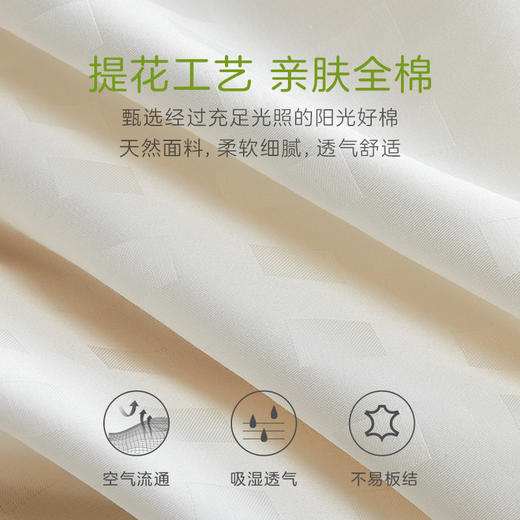 罗莱儿童 XS 全棉小提花大豆纤维春秋被 商品图3