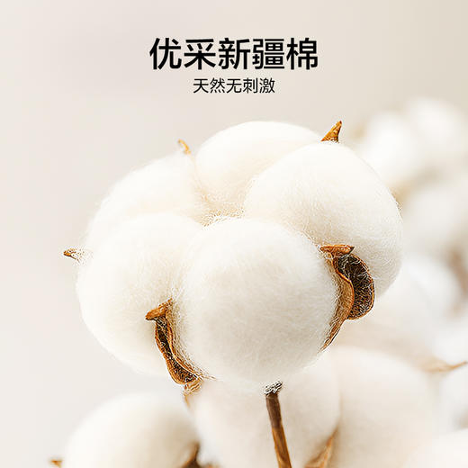 LOVO乐蜗 新疆棉棉花加厚冬被 升级版 商品图2