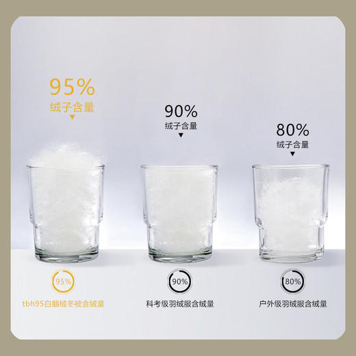 罗孚 95白鹅绒 云感深睡 春/秋被 商品图3
