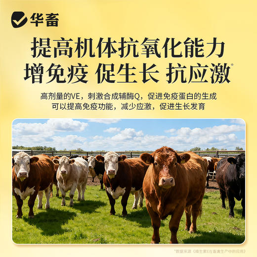 华畜繁育宝500g 促进排卵受精率高幼崽壮 商品图5