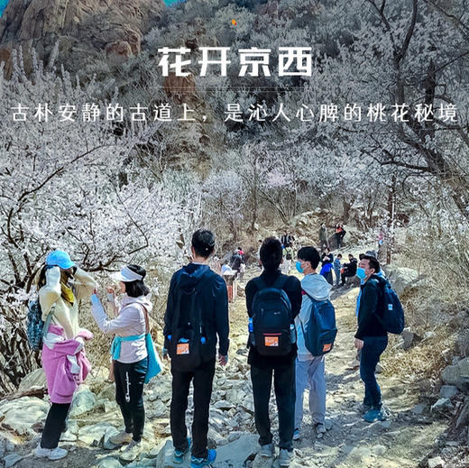 清明1天【潭柘寺天坑】京西桃花开の潭柘寺天坑-广惠寺-定都阁10公里徒步<初级> 商品图1