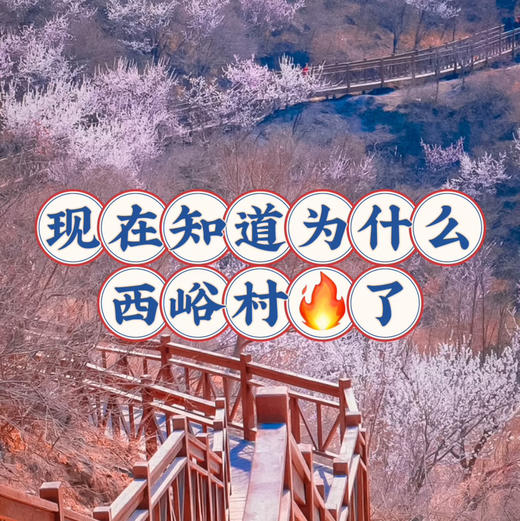 清明1天【西峪村桃花68元】网红打卡西峪村-徒步桃花栈道赏漫山桃花- 商品图0