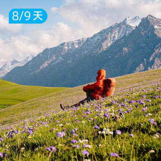 喀班巴依峰｜东喀拉峻｜赏花版&冰川版 新疆史诗级立体景观线 8/9日 商品图1