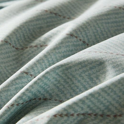 罗莱 XS-智?享溯源A类95鹅绒冬被-星河 商品图3