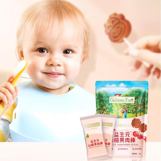 爷爷的农场 益生元山楂果肉棒 儿童零食山楂棒 商品图2