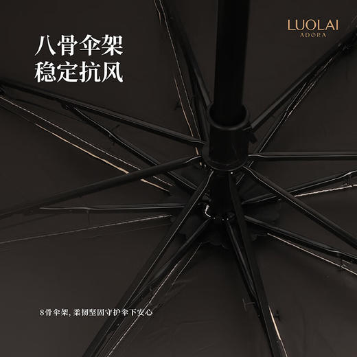 罗莱悦礼“杏”运伞 商品图3
