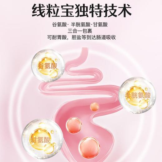 失眠、睡眠质量差nadh搭配好物调理套组(1-1.5个月量) 商品图2