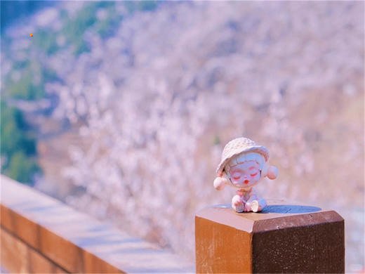 【西峪村桃花1日】｜网红打卡西峪村-徒步桃花栈道赏漫山桃花-打卡辛庄生活市集 商品图4