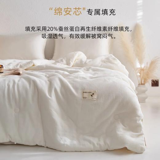 20%蚕丝蛋白！全棉A类母婴级轻柔保暖春秋被夏凉被冬被加厚子母被柔软被芯 商品图3