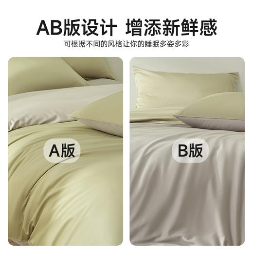 恐龙 苍梧 全棉60S四件套 新品上市 商品图3