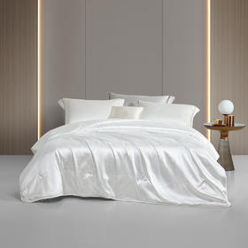 罗莱 XS  辽安青丝·丝悦大提花抗菌蚕丝四季被