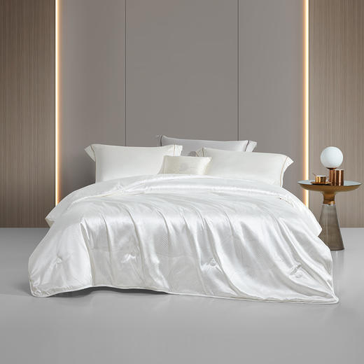 罗莱 XS  辽安青丝·丝悦大提花抗菌蚕丝四季被 商品图0