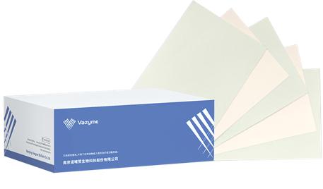 PVDF Membrane 商品图1