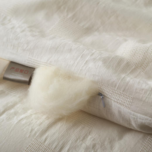 蓬松抑菌！A类全棉原棉大豆纤维被 春秋被芯加厚保暖冬被四季通用 商品图2