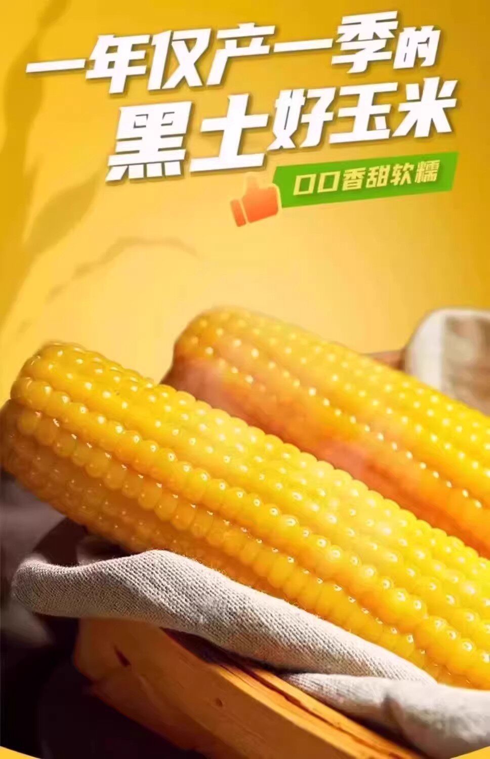 gWyWj/+nzNTvS8WG2Vtdg4ha/ZqlT20ryYr9