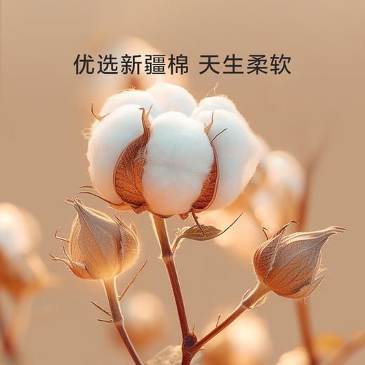 罗莱 麦林格 四件套 商品图2