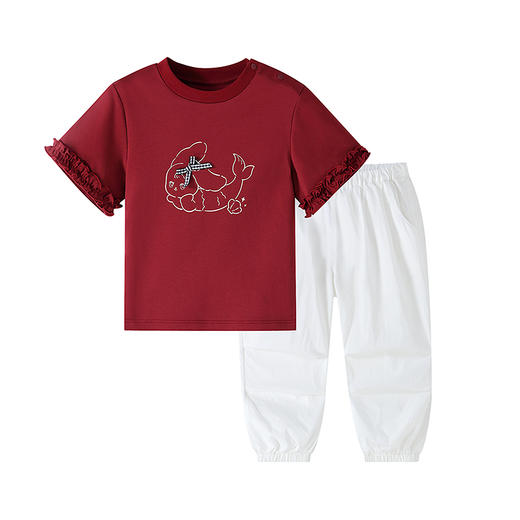 【实体店同款】女童套装夏季新款安奈儿童装XG621196 商品图6