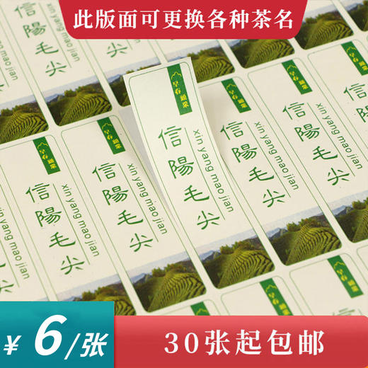 早春头采毛尖竖版茶标一张6元， 满300元河南省内包邮 商品图0