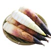 【BF】春笋 新鲜农家蔬菜 脆嫩带壳500g（提货时间：4.15-4.21） 商品缩略图0