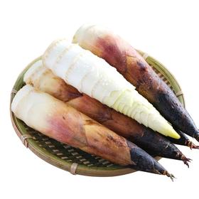 【BF】春笋 新鲜农家蔬菜 脆嫩带壳500g（提货时间：4.15-4.21）